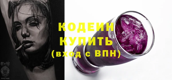 2c-b Гусев