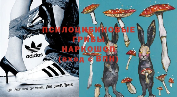 СК Гусь-Хрустальный