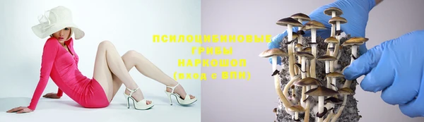 Альфа ПВП Дмитриев