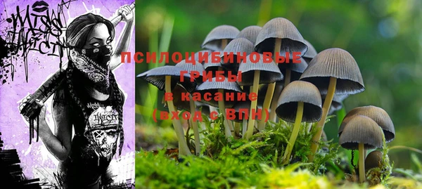СК Гусь-Хрустальный