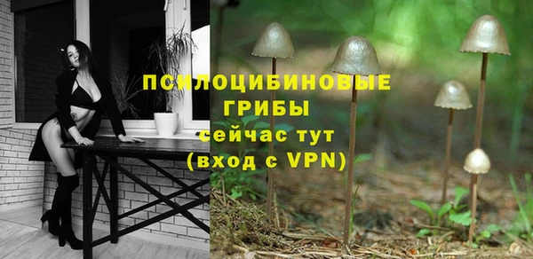 СК Гусь-Хрустальный