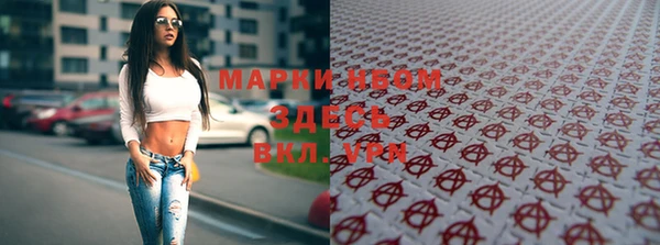 стаф Дмитровск