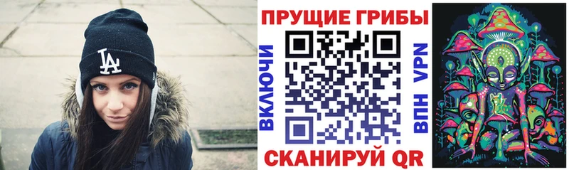 Купить  Лянтор  Галлюциногенные грибы Cubensis 
